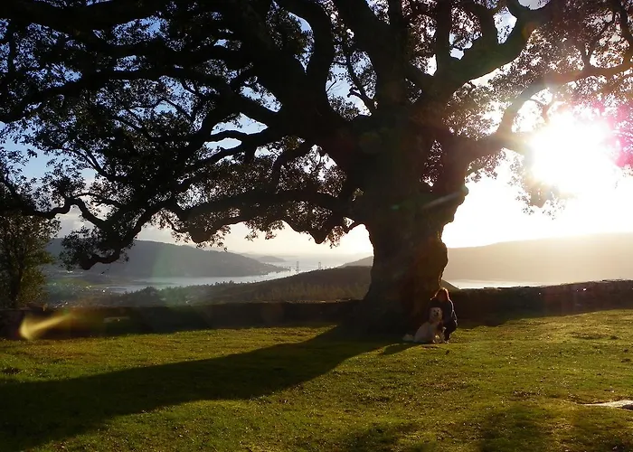 Bahia De San Simon Hostel *